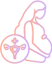 Gyancologist